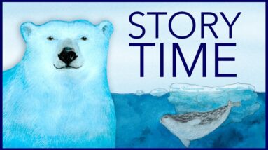 Sea Bear | Storytime Read Aloud