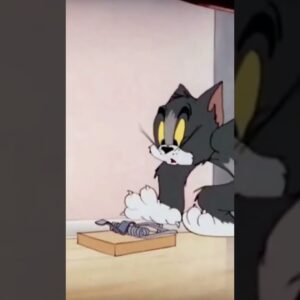 tom and Jerry | tom and jerry Cartoon | टॉम एंड जेरी