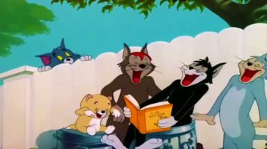 Tom and Jerry | Tom and Jerry cartoon | Tom and jerry new | Cartoon Network Gold  #tomandjerr